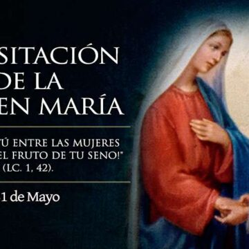 Hoy es la Fiesta de la Visitación de la Virgen María: “¡Bendita tú entre las mujeres!”