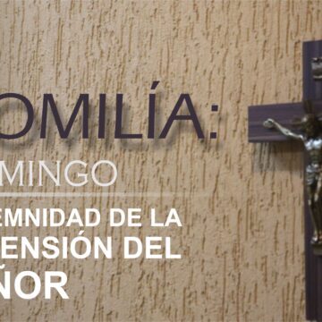 Homilía: Solemnidad de la Ascensión del Señor