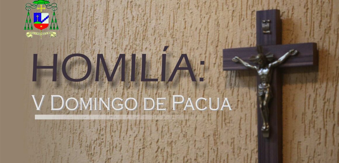 Homilía: Quinto Domingo de Pascua. Ciclo A