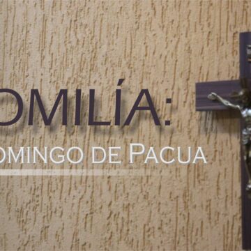 Homilía: Quinto Domingo de Pascua. Ciclo A