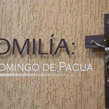 Homilía: VI domingo de Pascua. Ciclo A