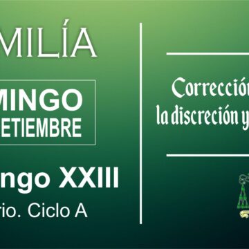 Homilía: Domingo XII Ordinario. Ciclo A