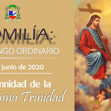 Homilía: Domingo X Ordinario. Ciclo A