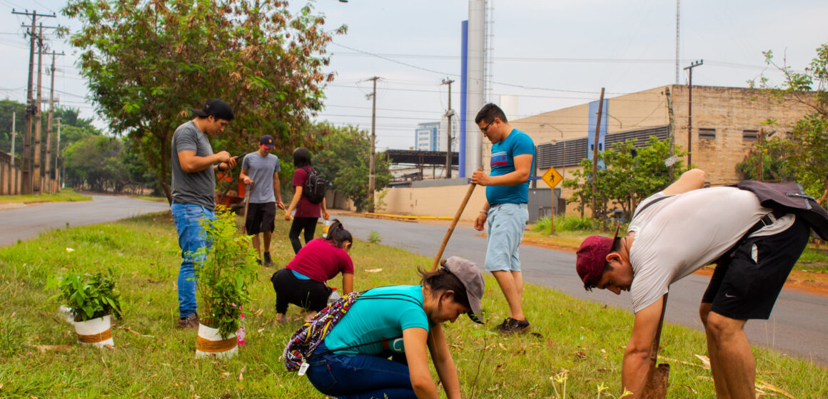 Con el objetivo de crear conciencia sobre el cuidado del medio ambiente, el domingo 8 de noviembre en horas de la tarde, un grupo de jóvenes plantaron arbolitos en barrios de Ciudad del Este.