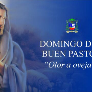 Homilía: Cuarto Domingo de Pascua. Ciclo B