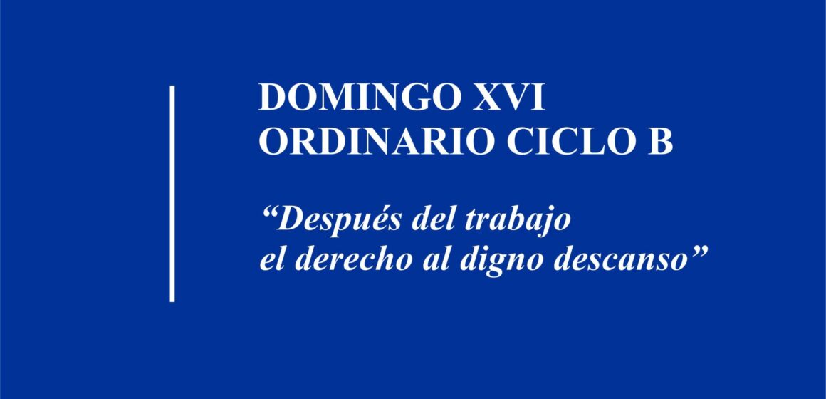 Homilía: Domingo XVI, Ordinario Ciclo B