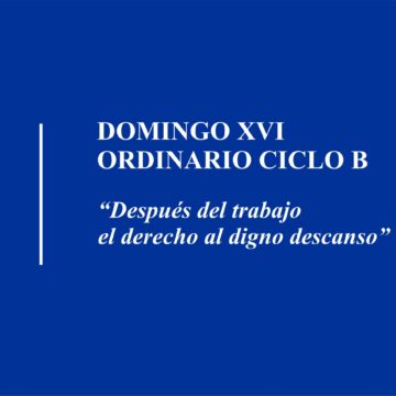 Homilía: Domingo XVI, Ordinario Ciclo B