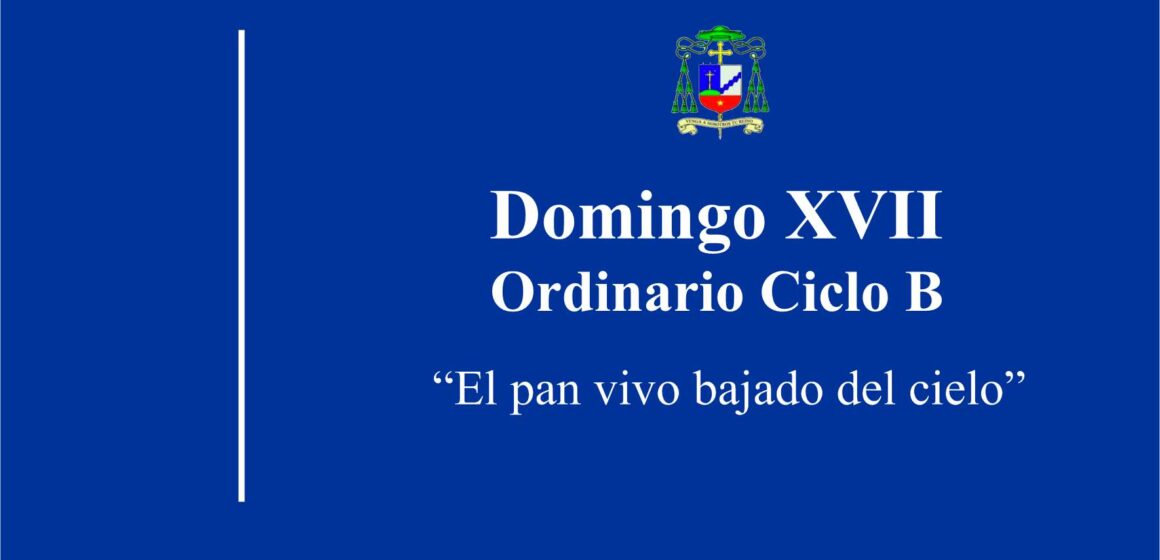 Homilía: Domingo XVII, Ordinario Ciclo B