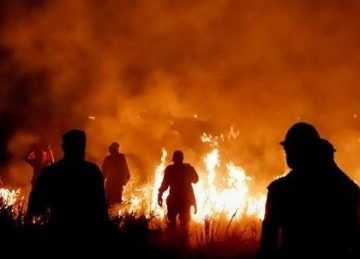 Evitar incendios y cuidar el medio ambiente es responsabilidad de todos