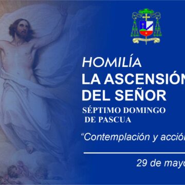 Homilía: Solemnidad de la Ascensión del Señor