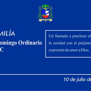 Homilía: XV Domingo Ordinario. Ciclo C