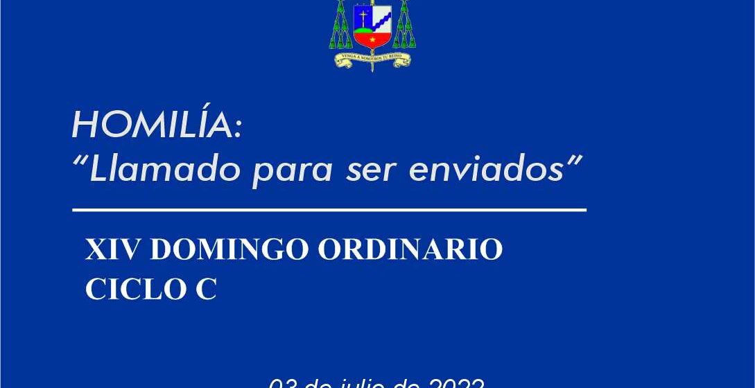 Homilía: «Llamado para ser enviados»