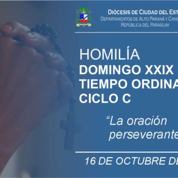 Domingo XXIX Ordinario, Ciclo C