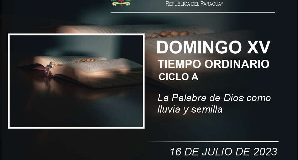 DOMINGO XV ORDINARIO CICLO A