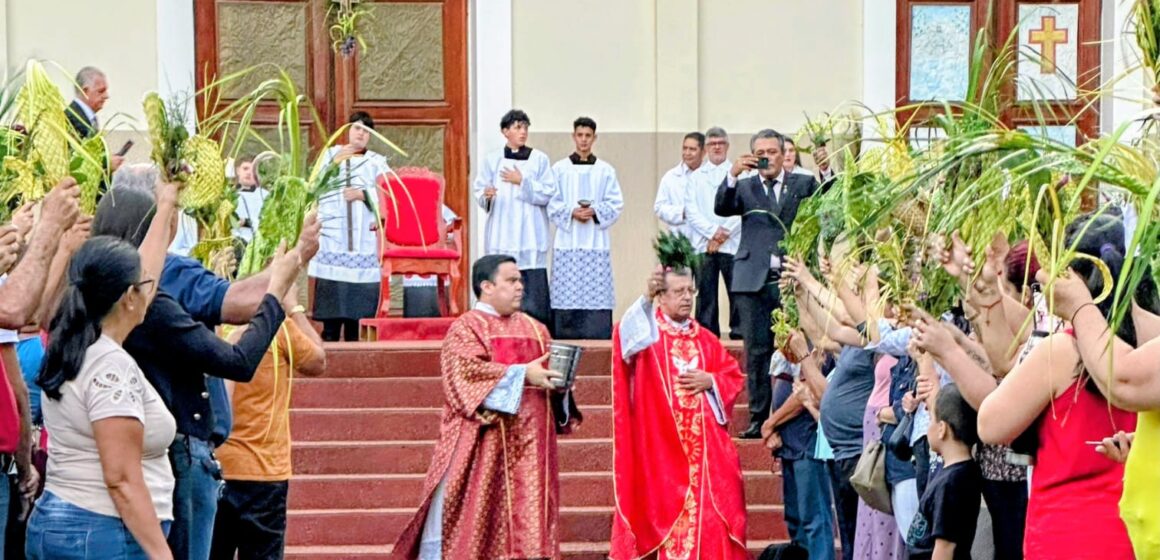Mons. Pedro  presidió la celebración del Domingo de Ramos en la Catedral